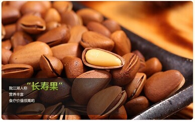 原味开口松子
