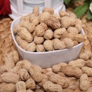 开休闲食品店 自己开店or加盟品牌哪个更好？