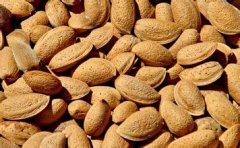 零食加盟行业创业新手如何在竞争中取胜